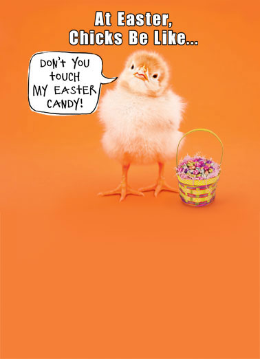 Chicks Be Like Funny Megan Card  Don't you touch my Easter candy! | chick baby attitude don't touch candy funny Easter basket  Happy Easter 